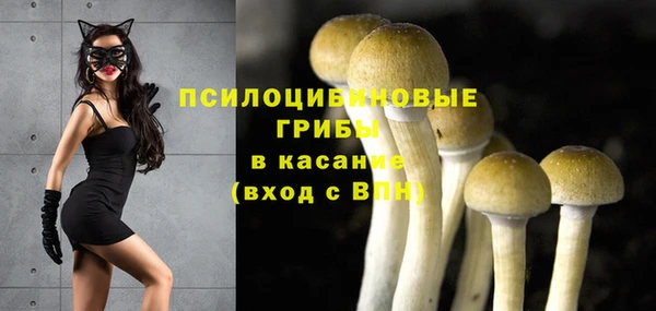 ECSTASY Алексин