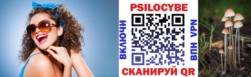 Псилоцибиновые грибы MAGIC MUSHROOMS Бежецк